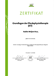 Grundlagen der Pferdephysiotherapie